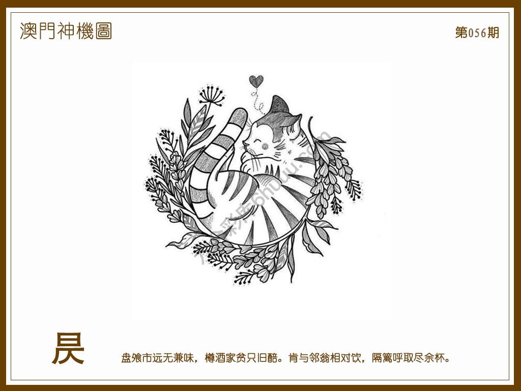 澳门神机图