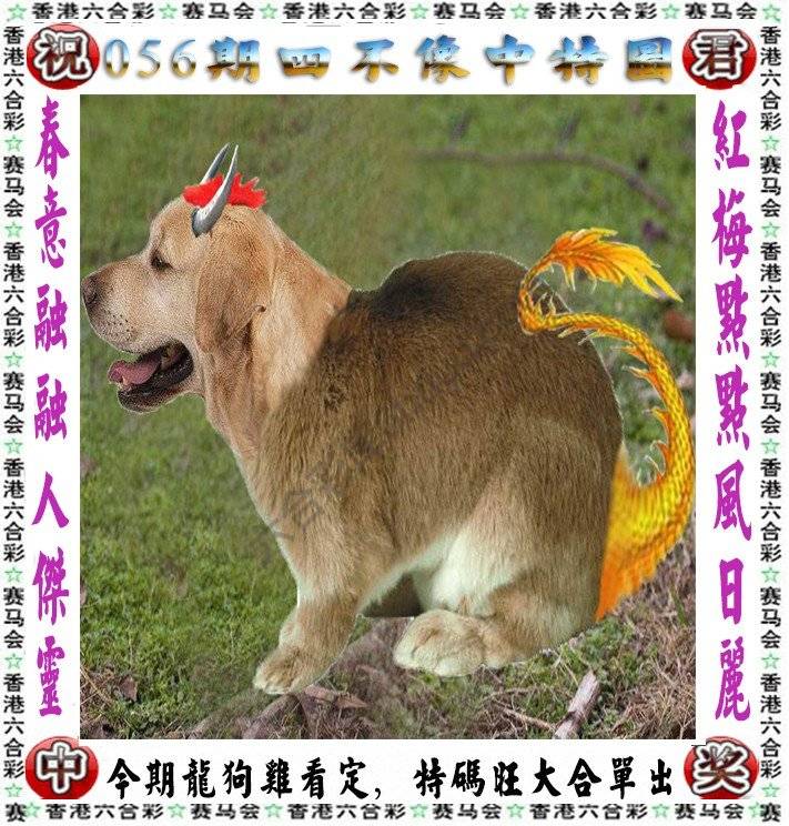 四不像中特图