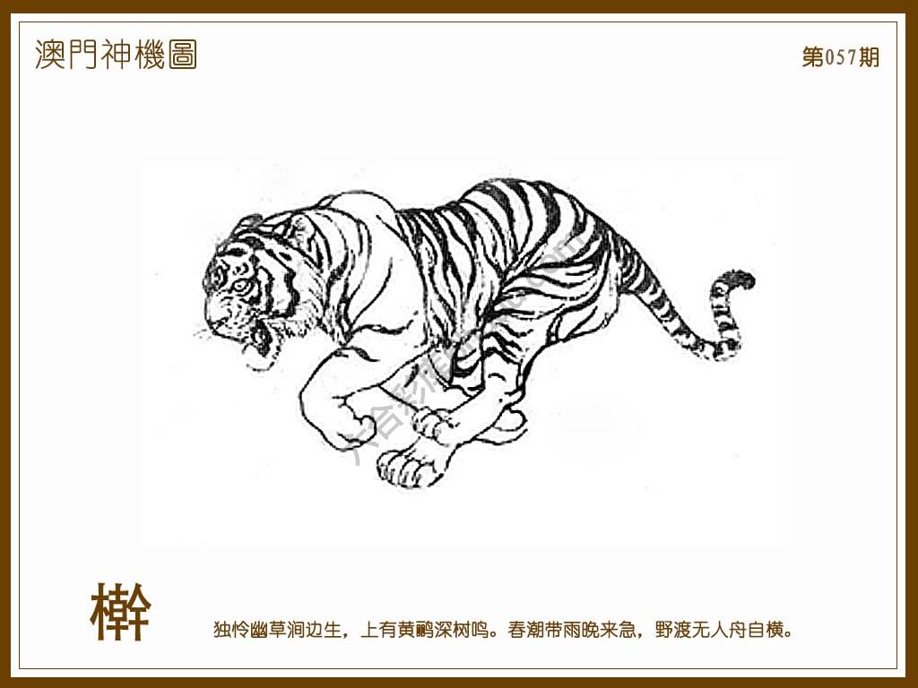 澳门神机图