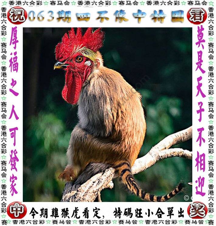四不像中特图