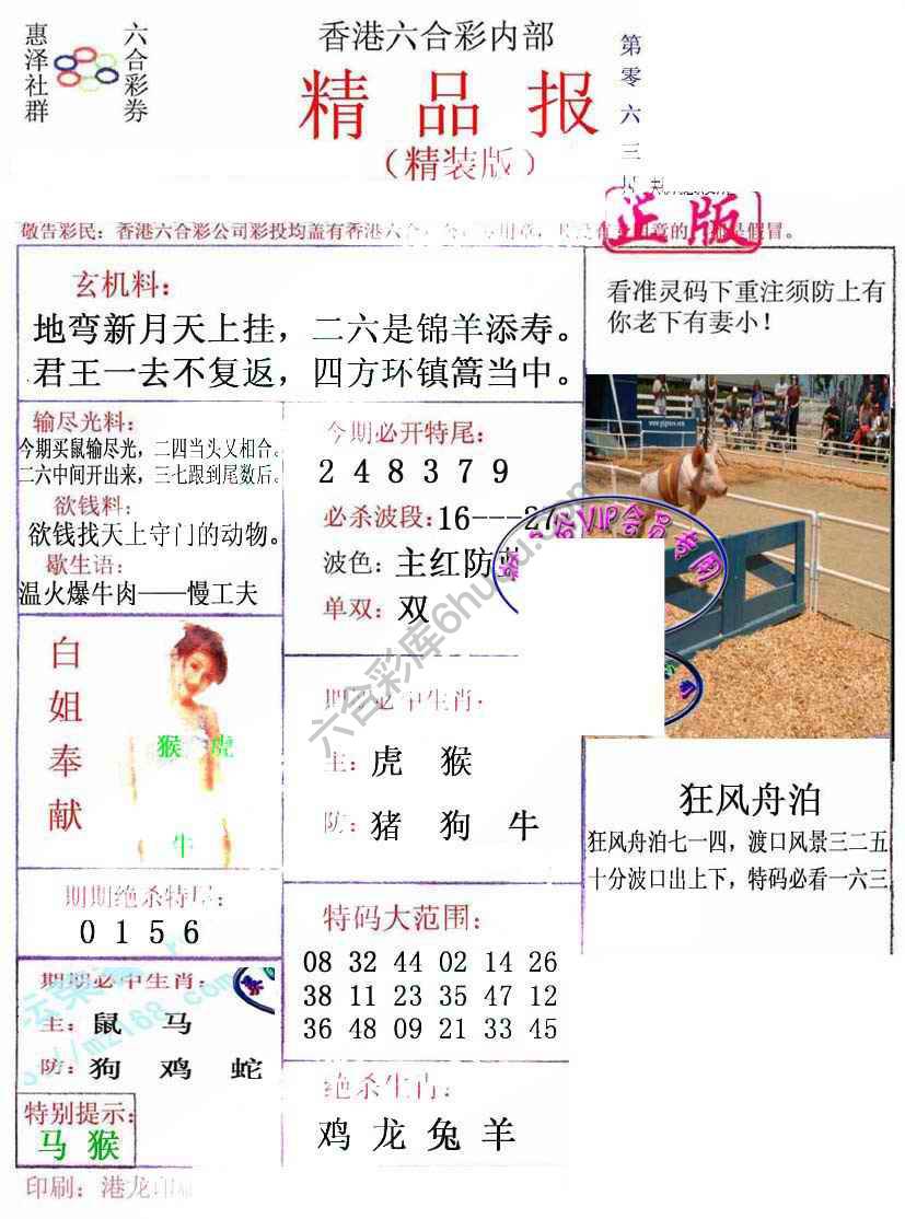 新精品报
