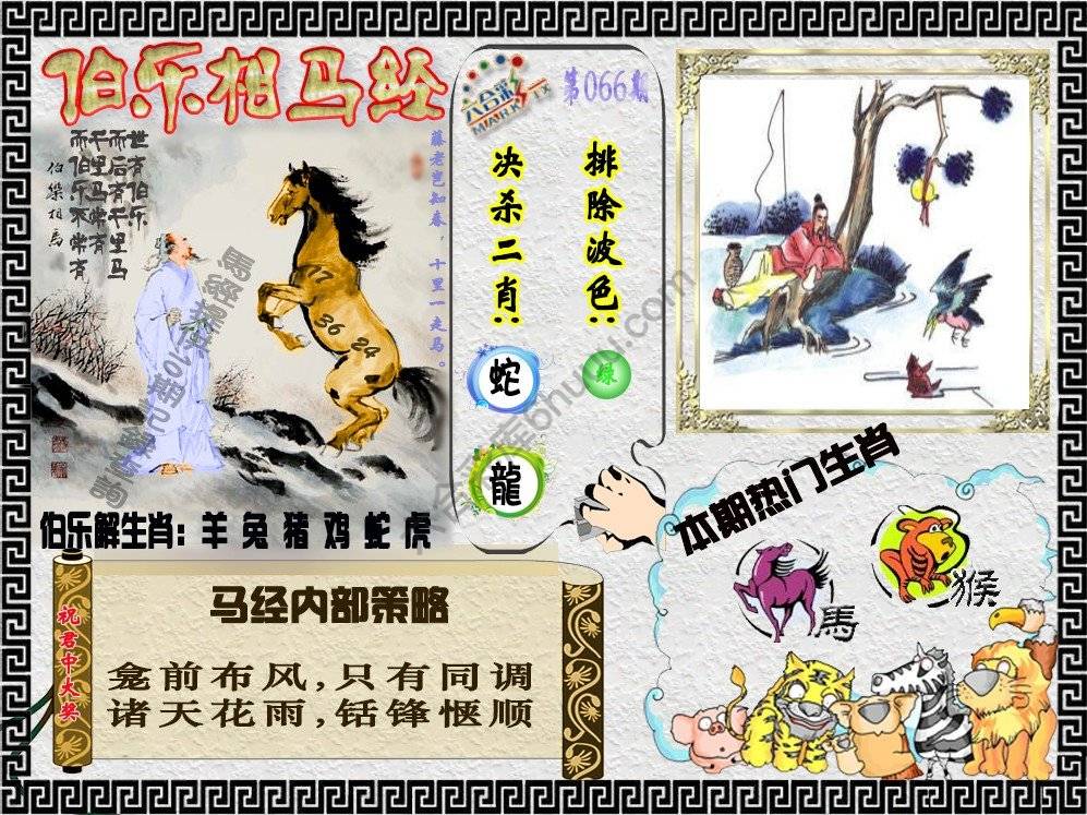 伯乐相马经