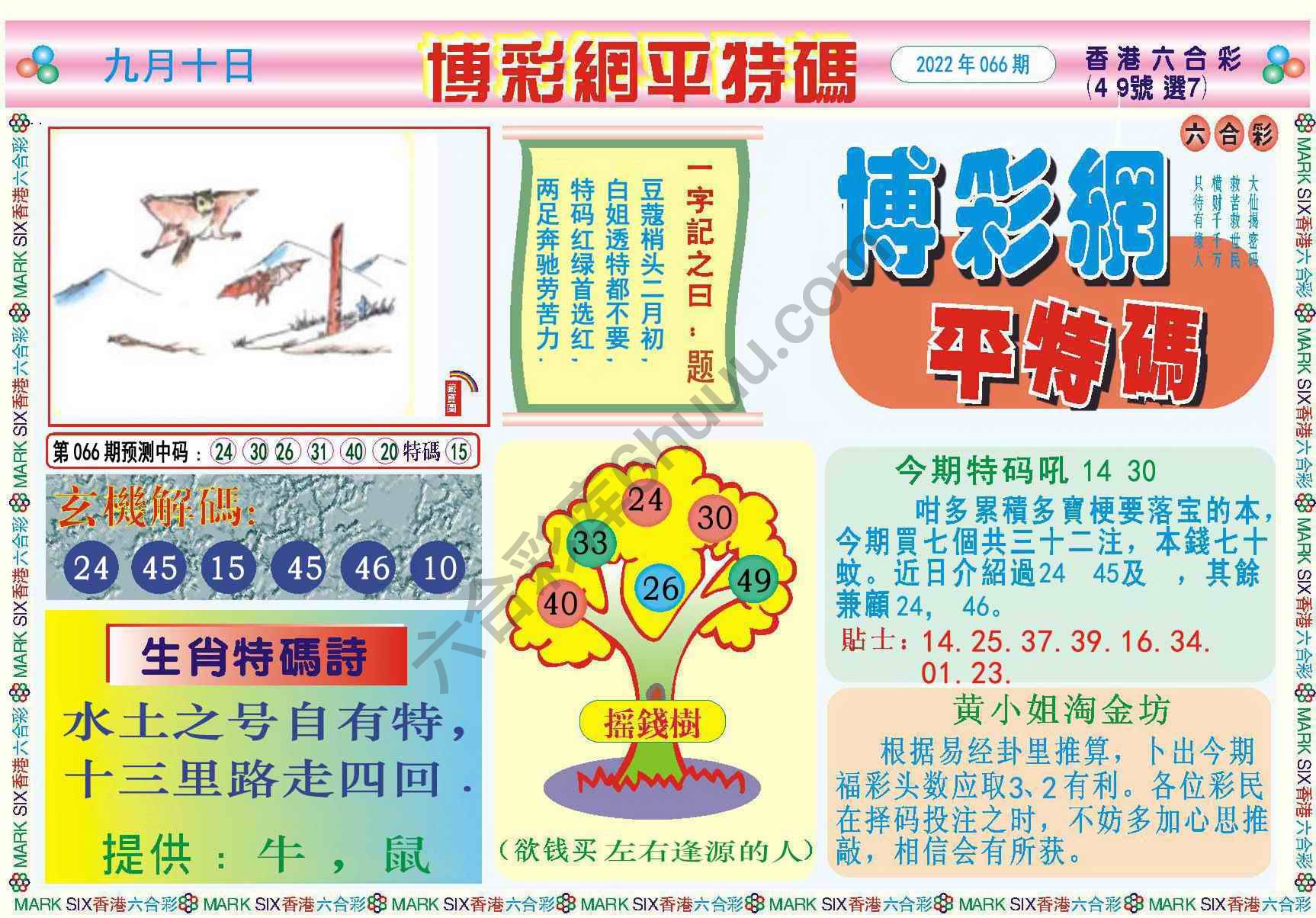 博彩网平特码