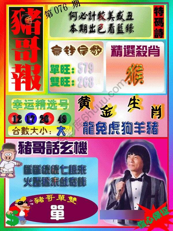 猪哥报