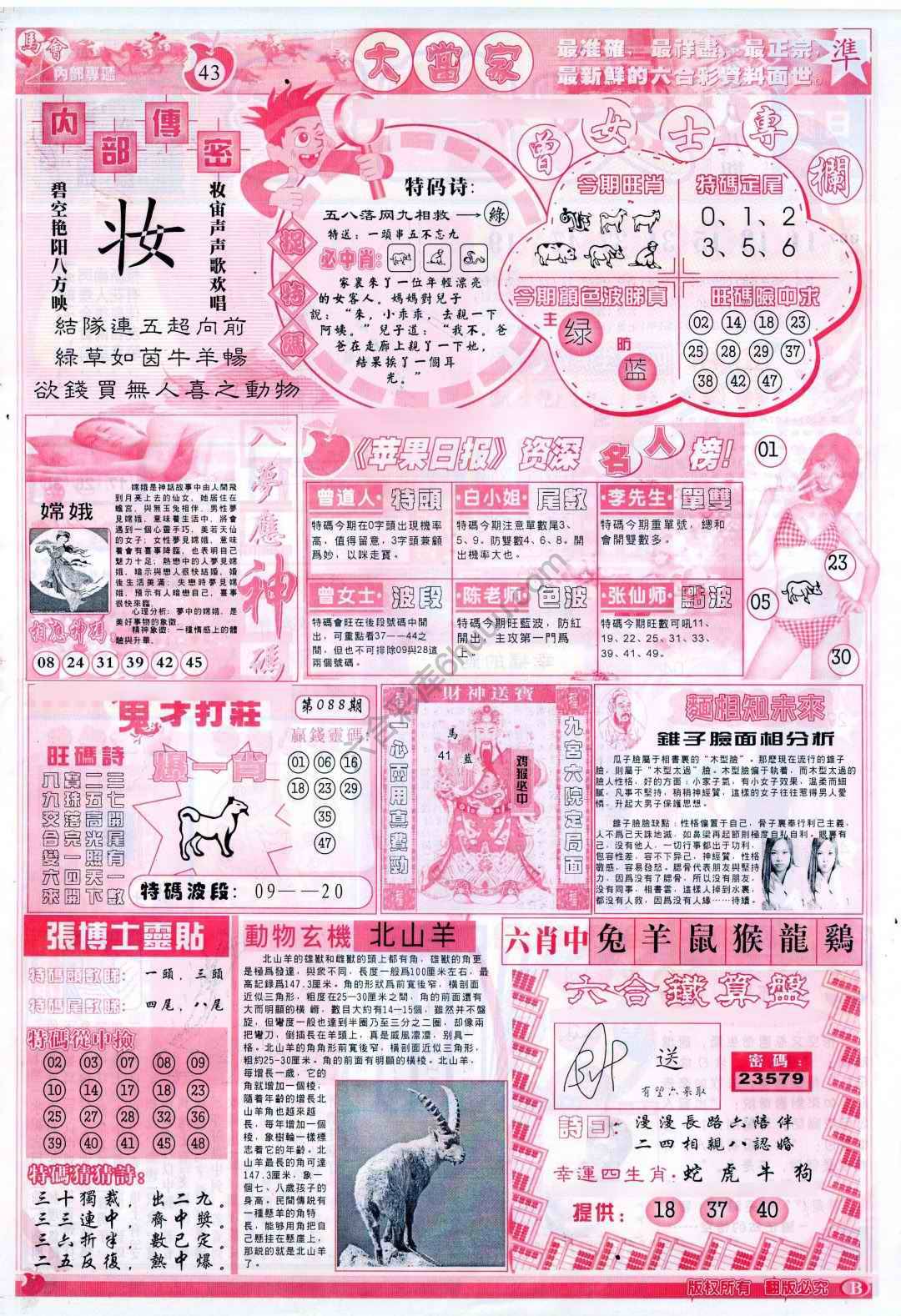 大当家
