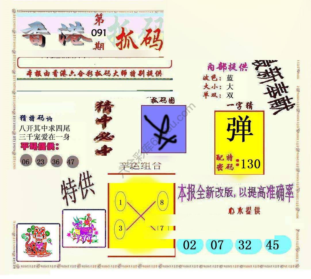 新抓码王