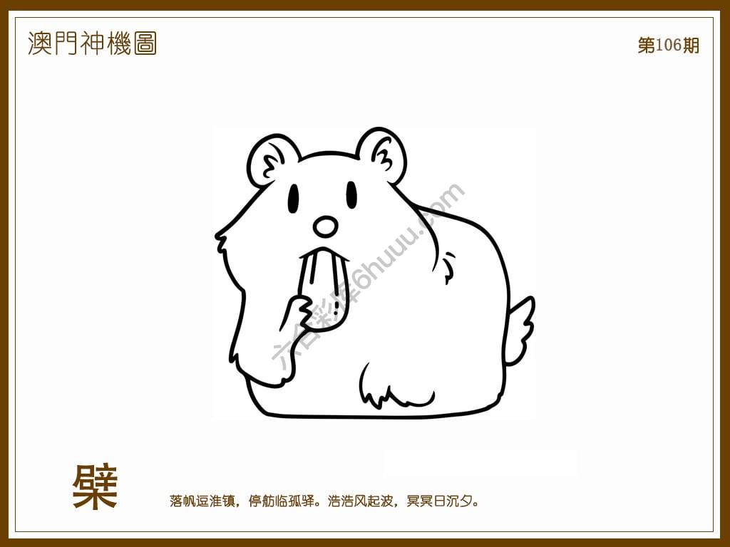 澳门神机图