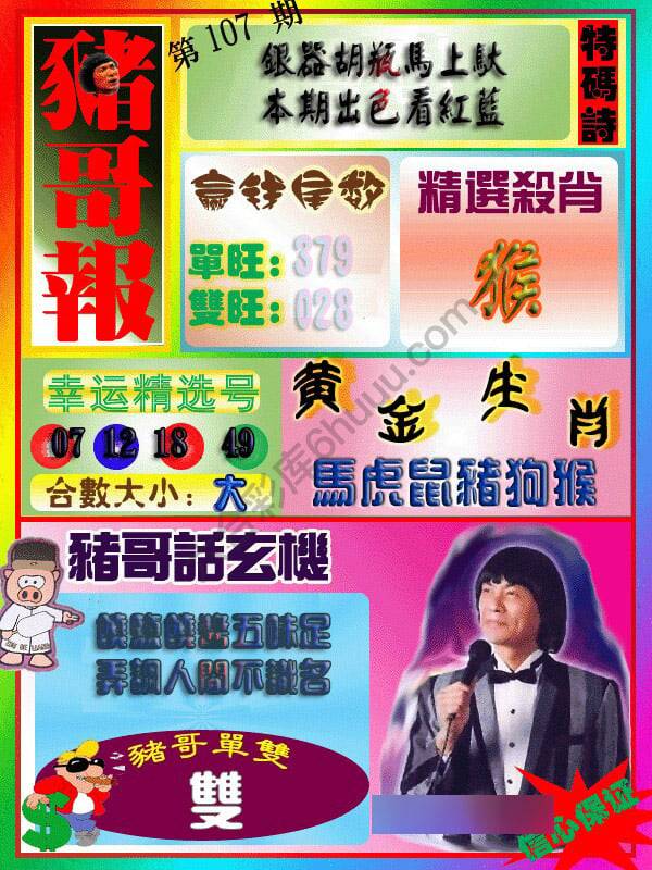 猪哥报