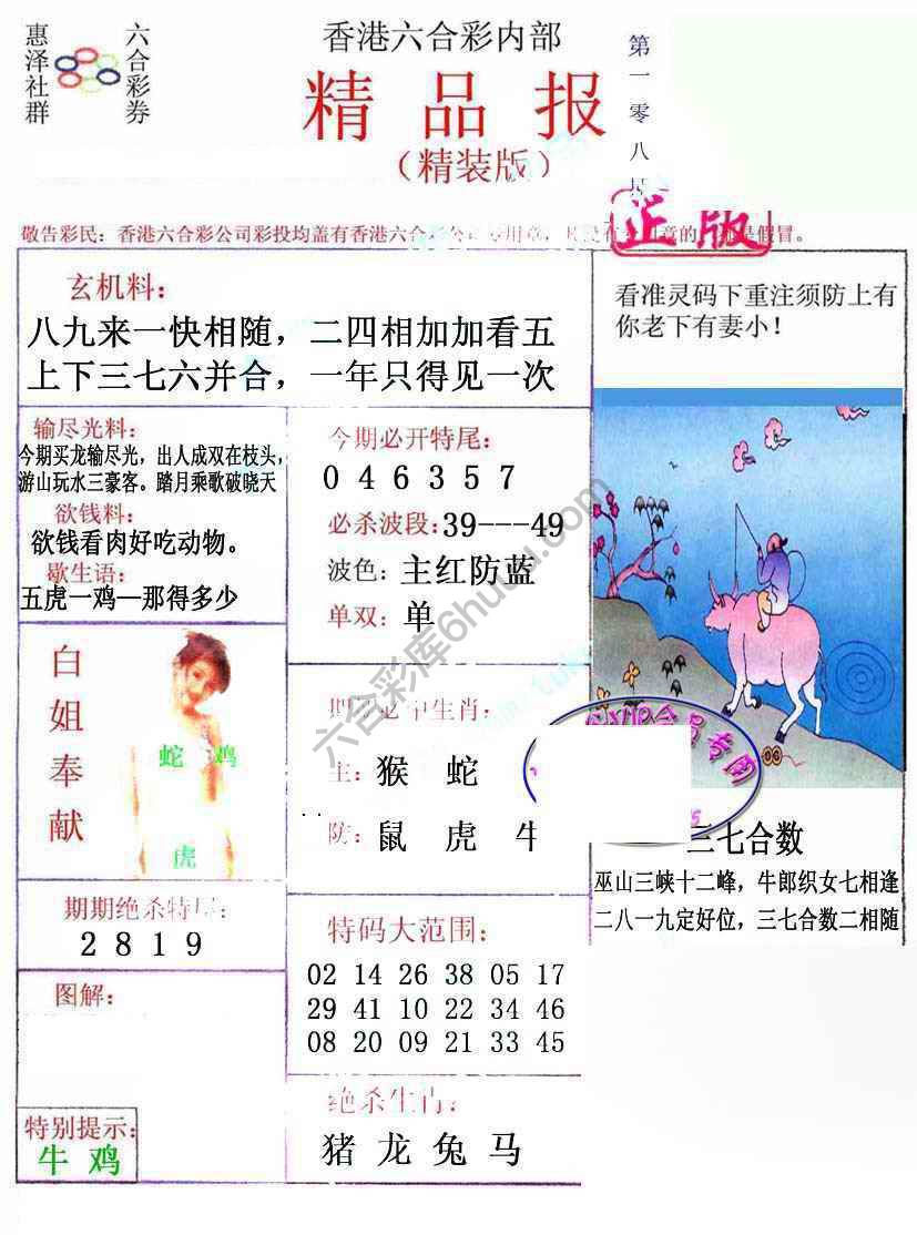 新精品报