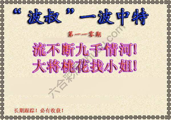 波叔一波中特