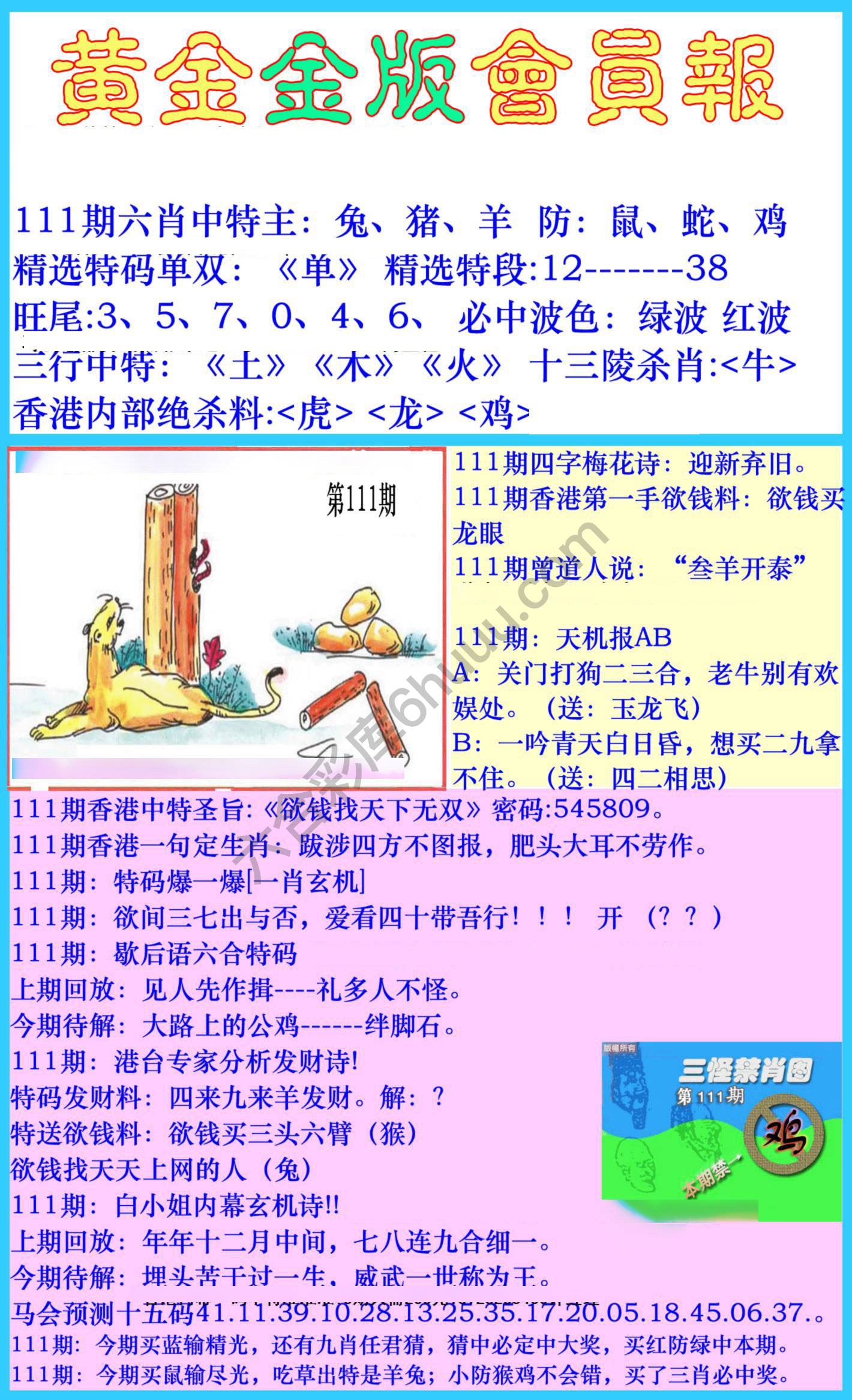 黄金金版会员报