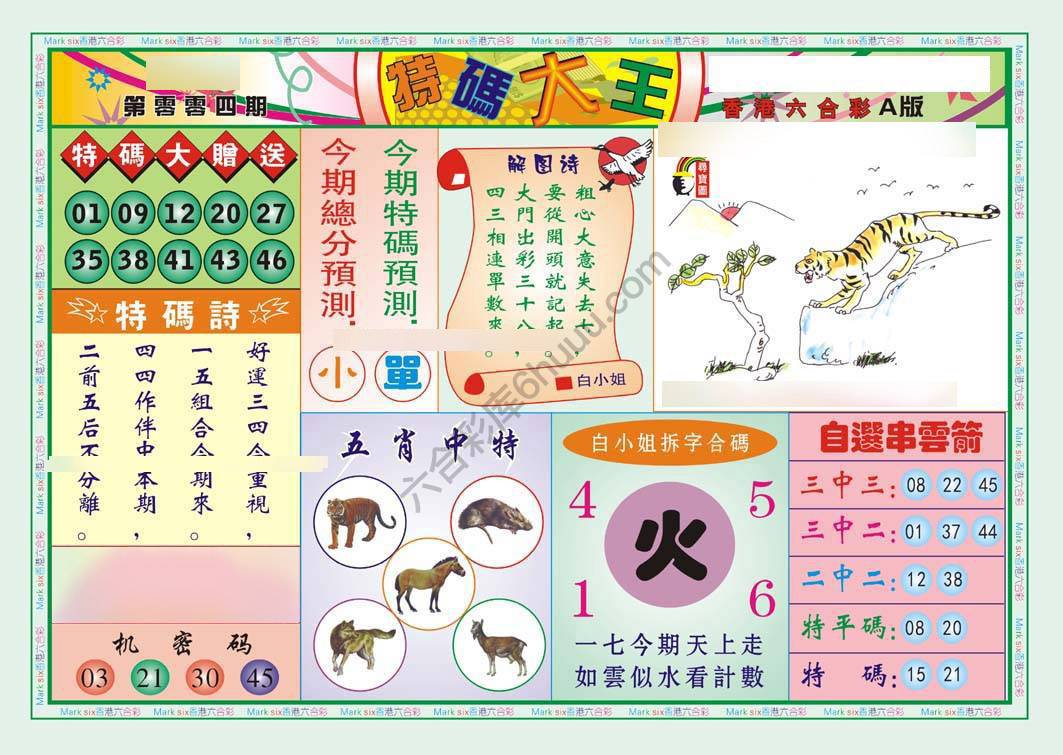 特码大王