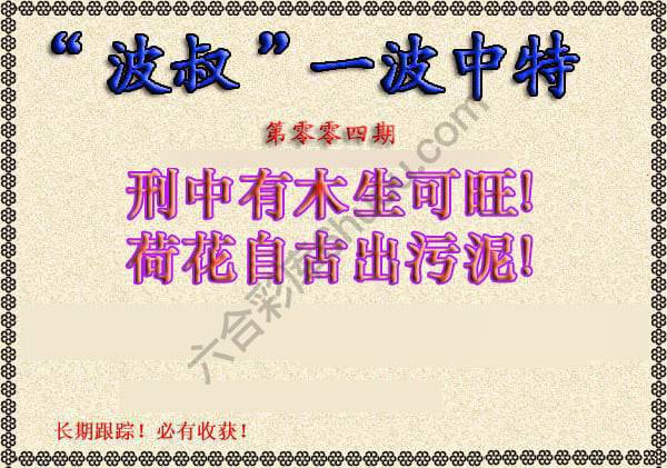 波叔一波中特