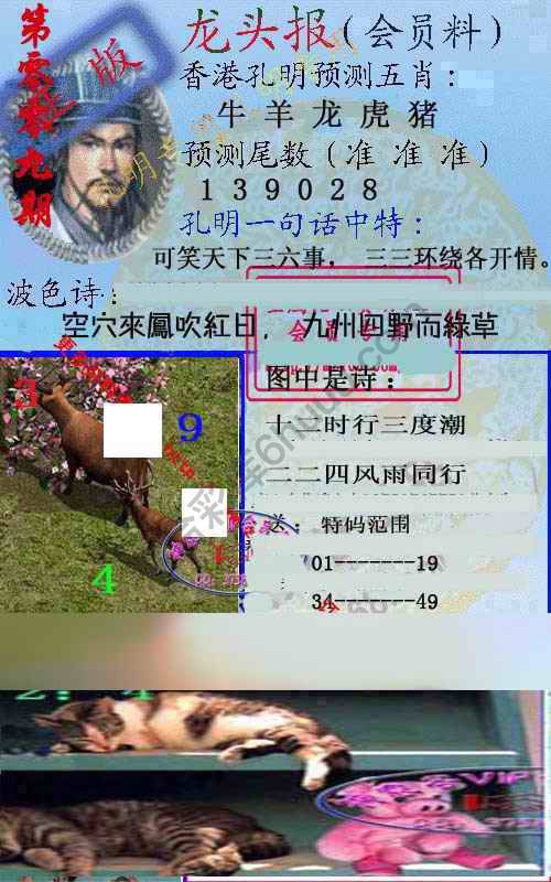 龙头报