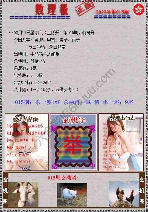 数理报