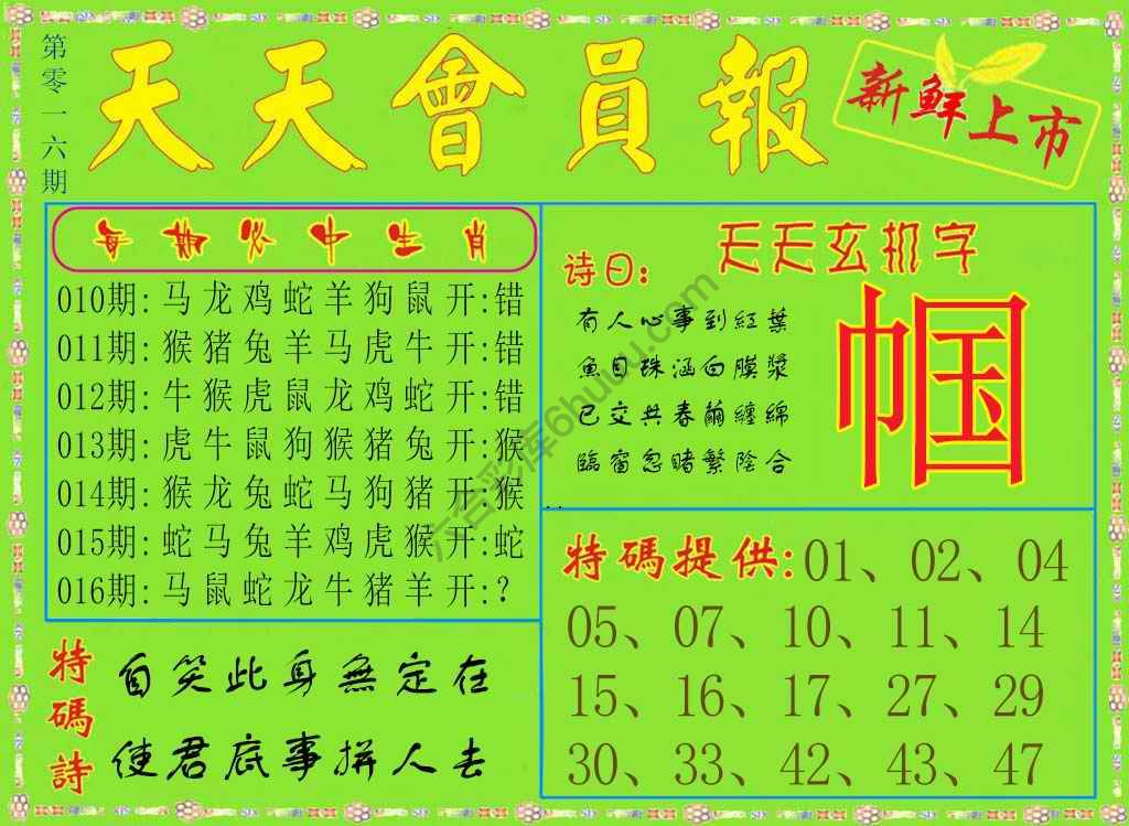 天天会员报