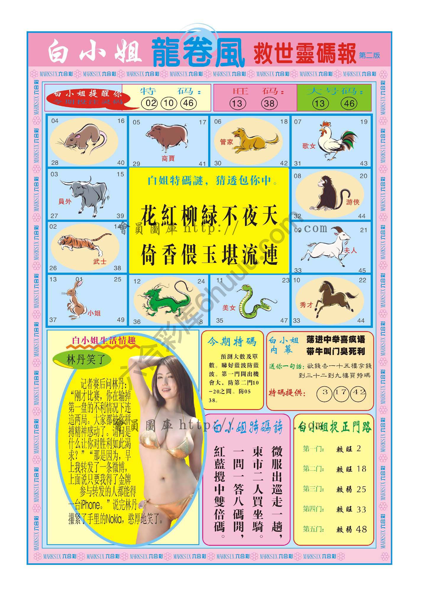 白小姐龙卷风