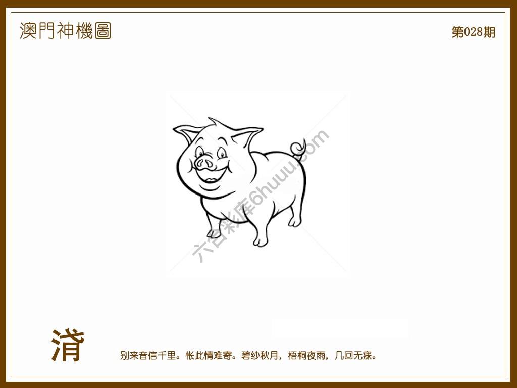 澳门神机图