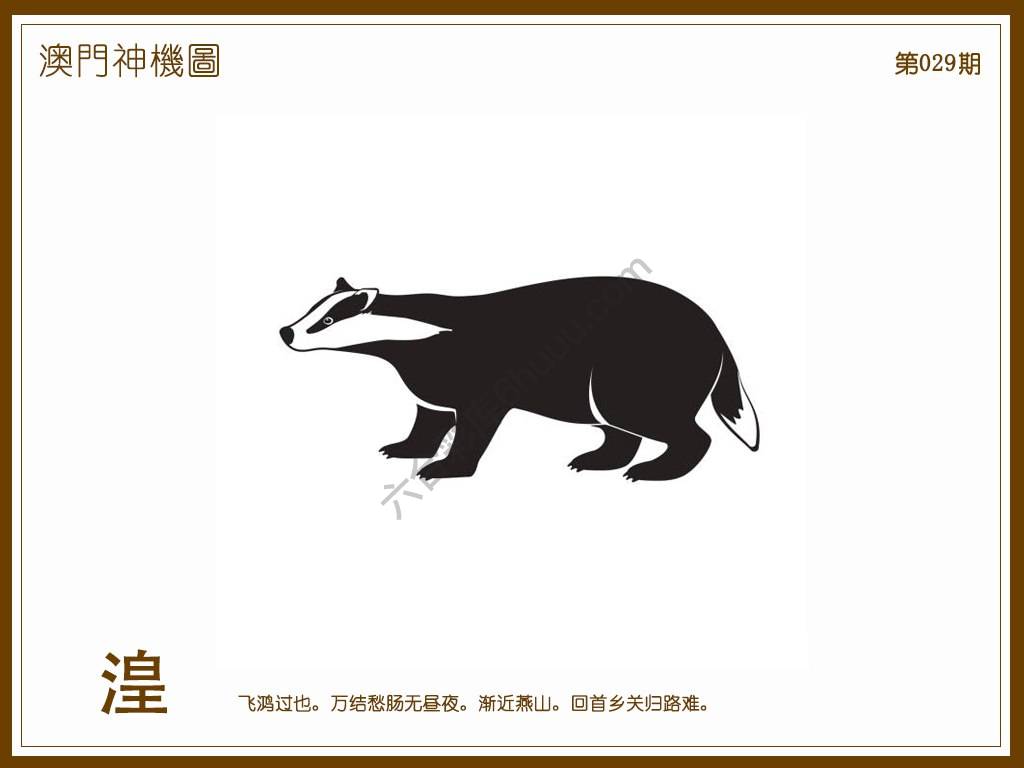澳门神机图