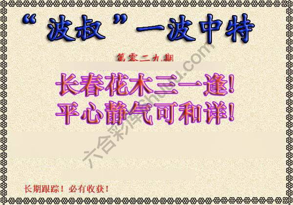 波叔一波中特