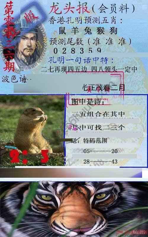 龙头报