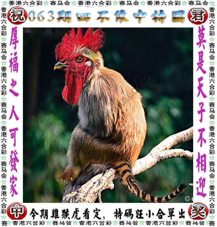 四不像中特图