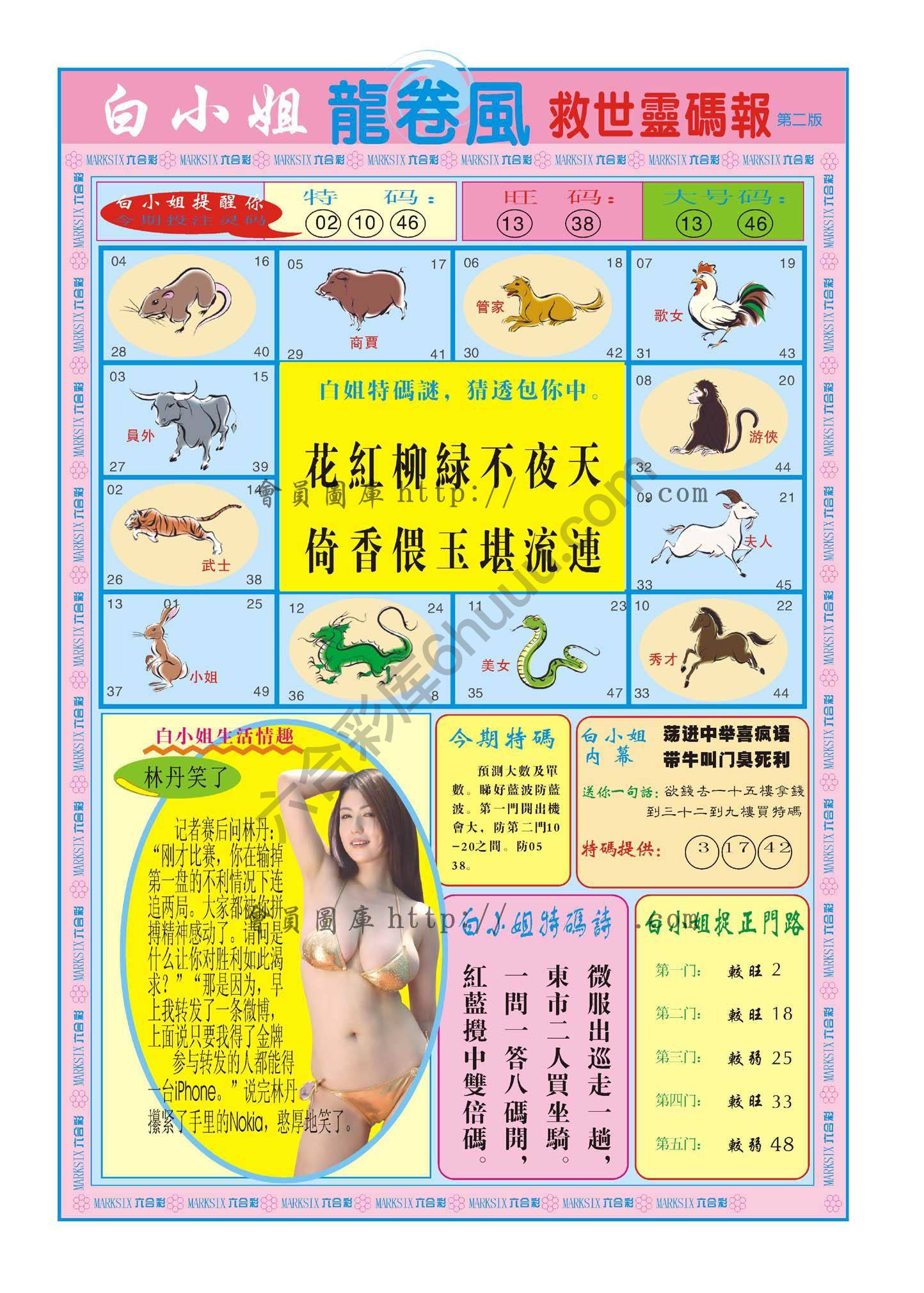 白小姐龙卷风