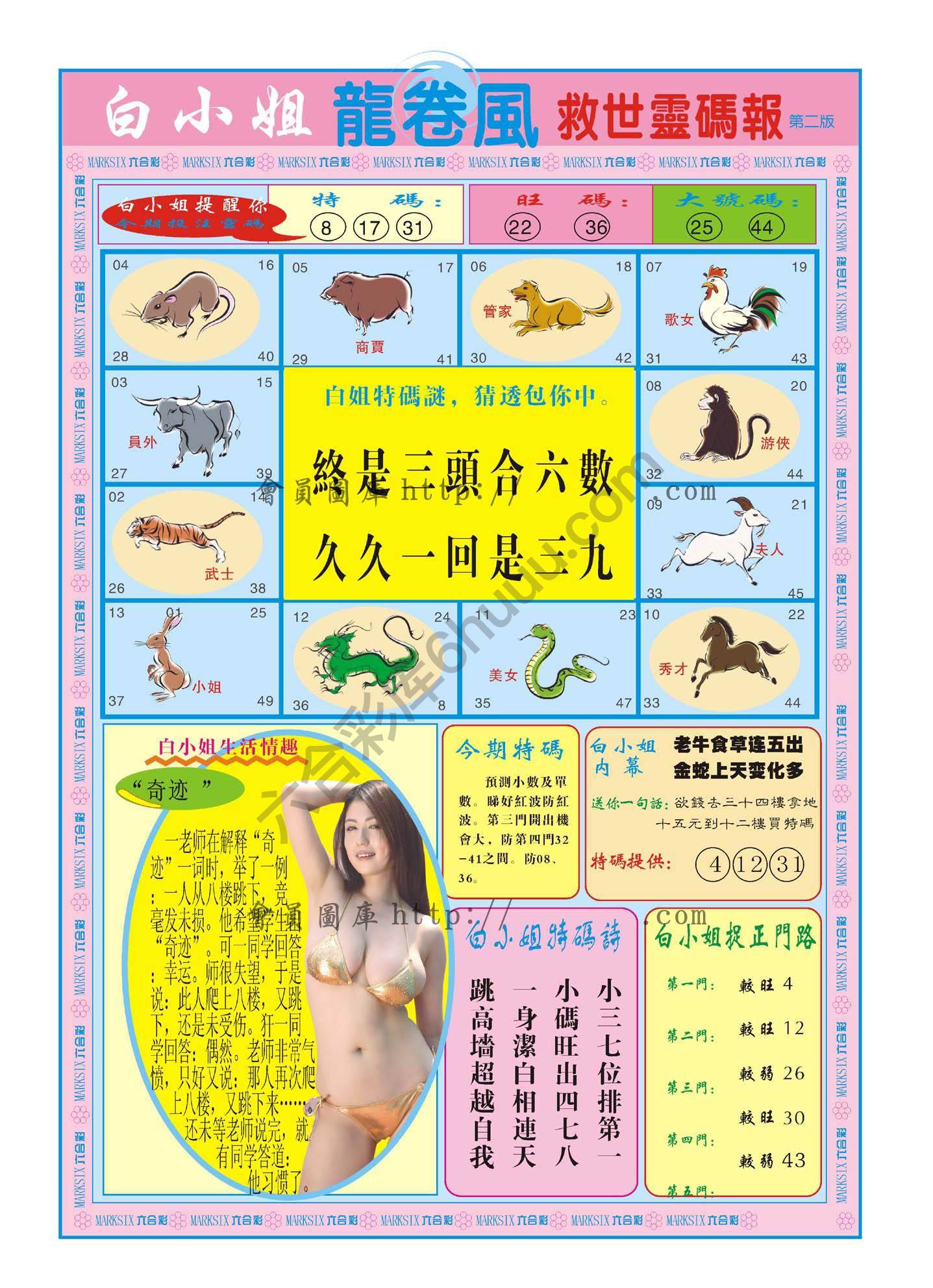 白小姐龙卷风