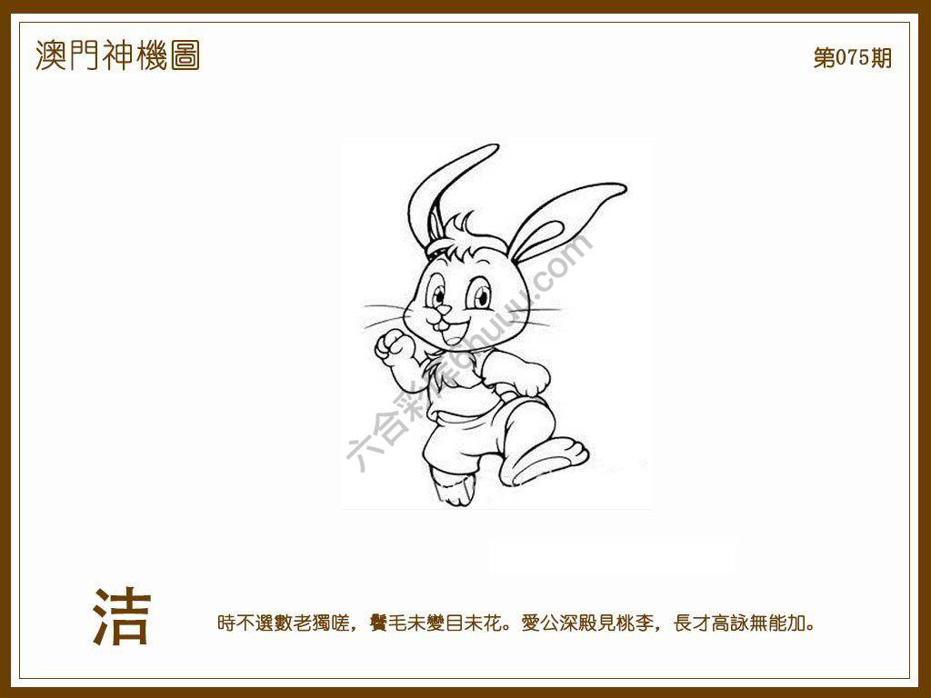 澳门神机图