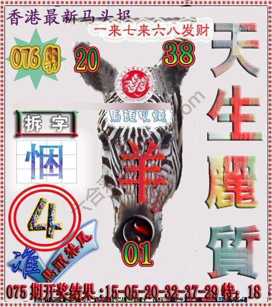 香港马头报