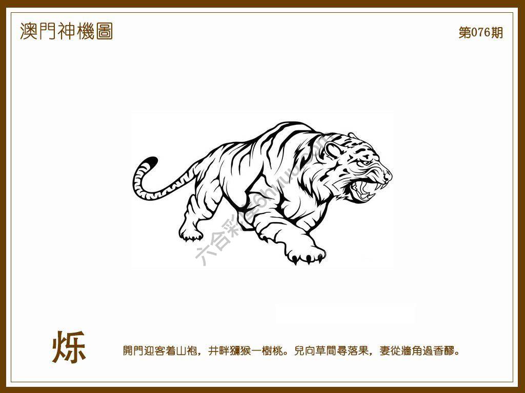澳门神机图