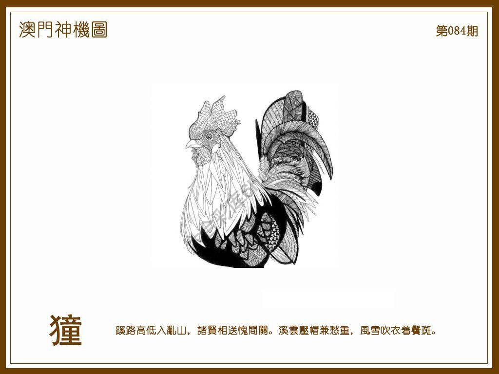 澳门神机图
