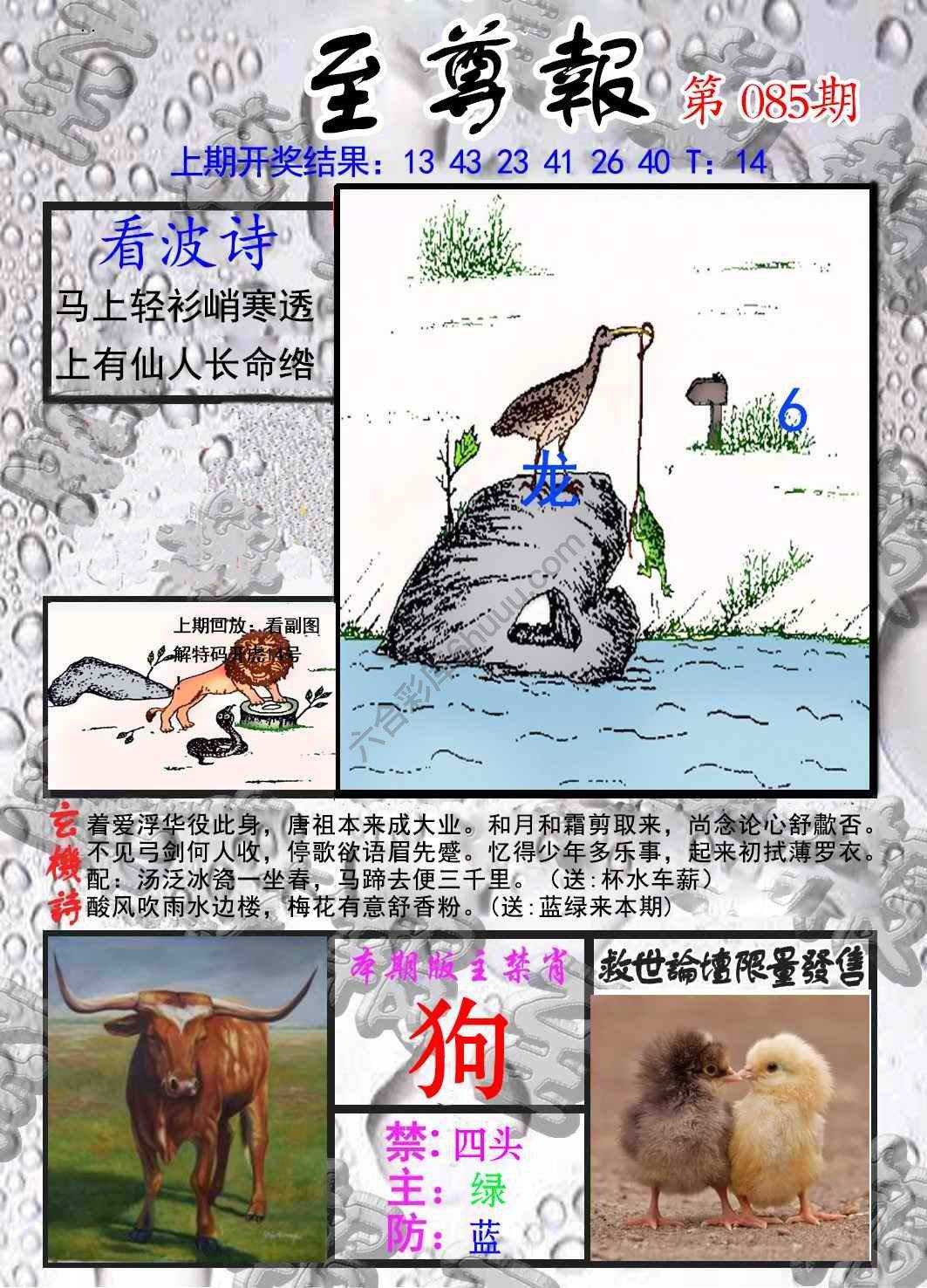至尊报
