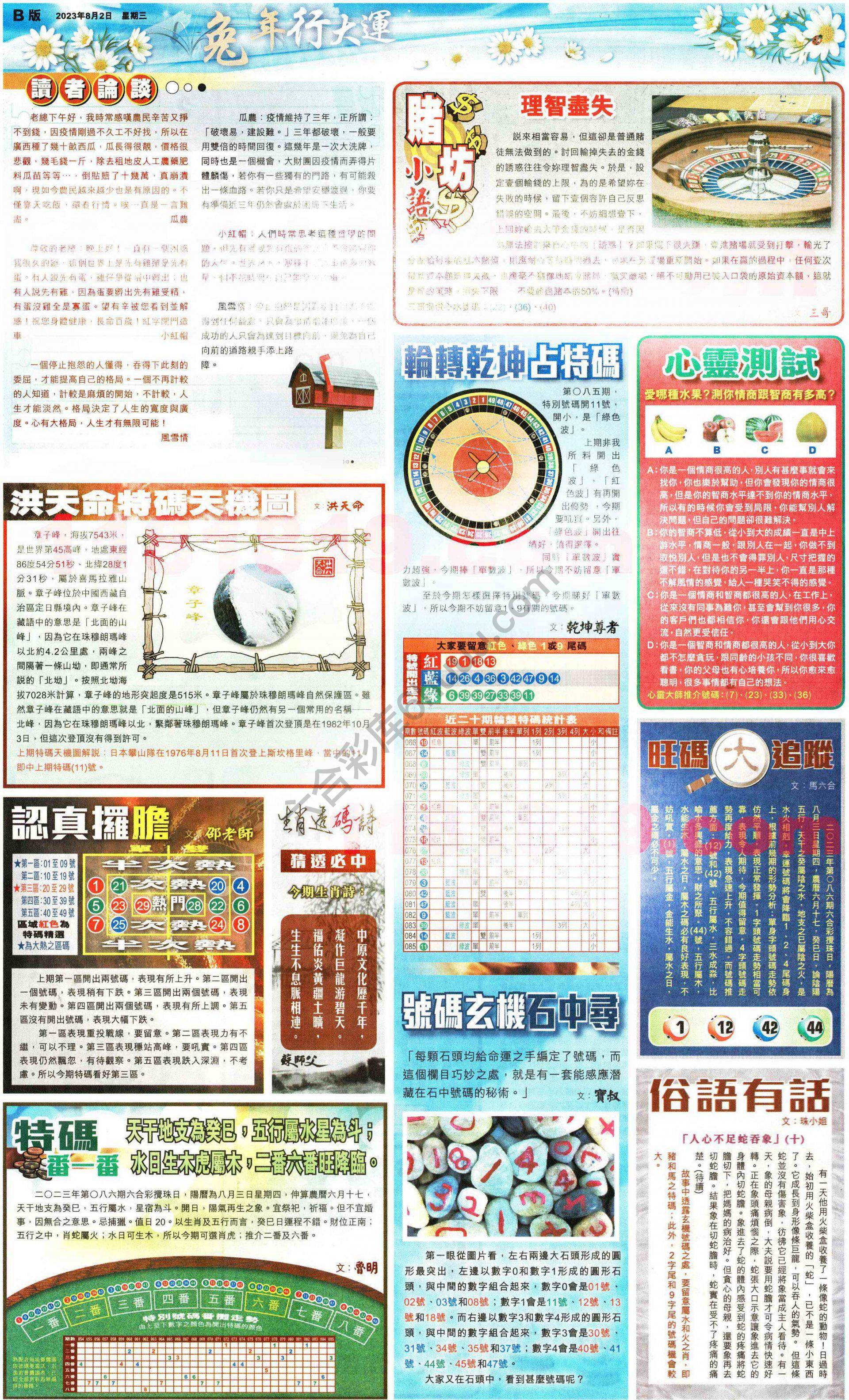 大版贴士皇