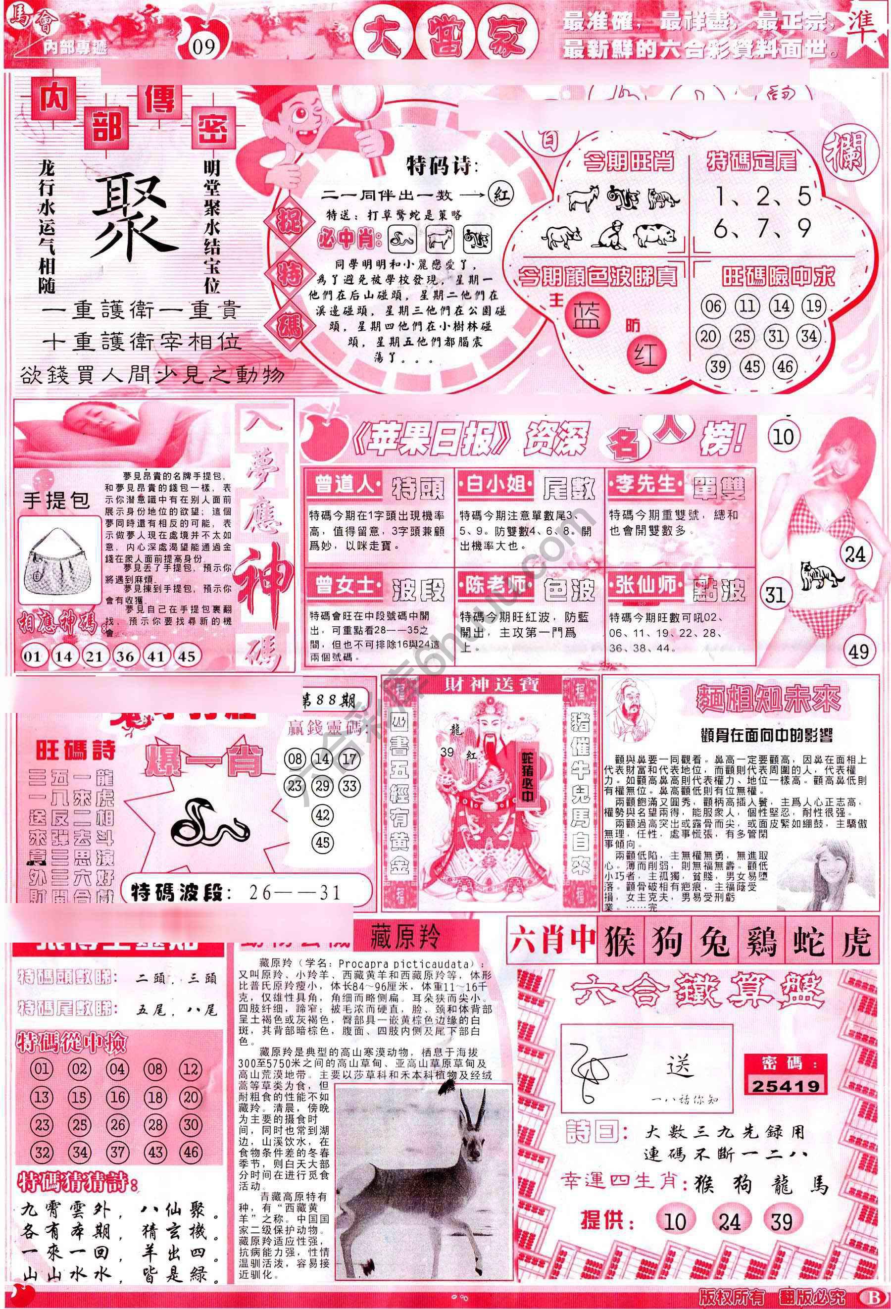 大当家