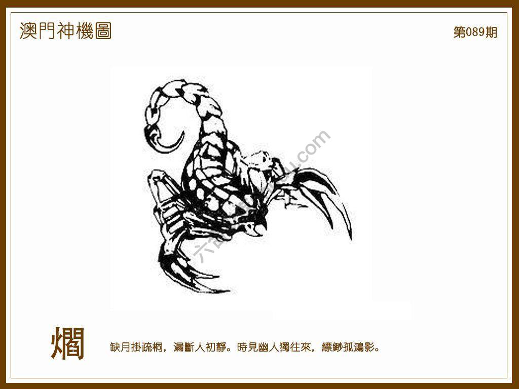澳门神机图