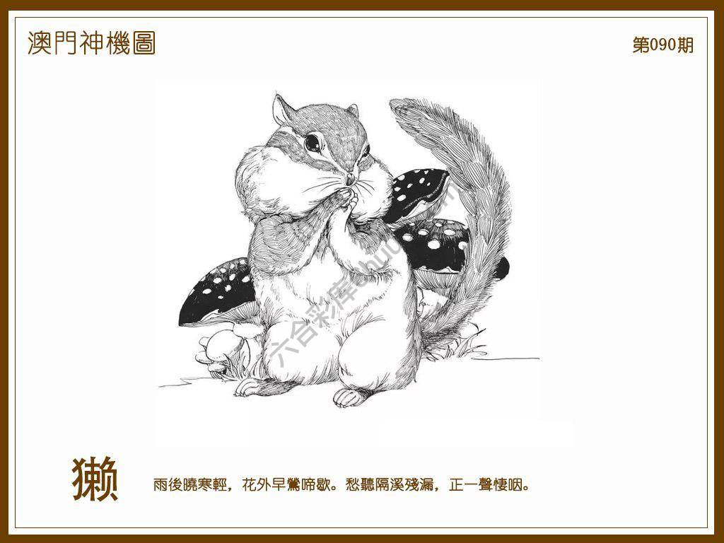 澳门神机图