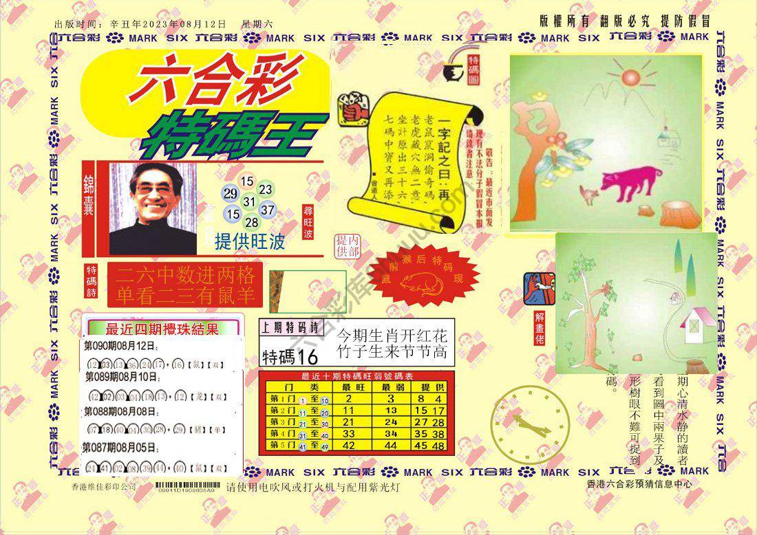 特码王