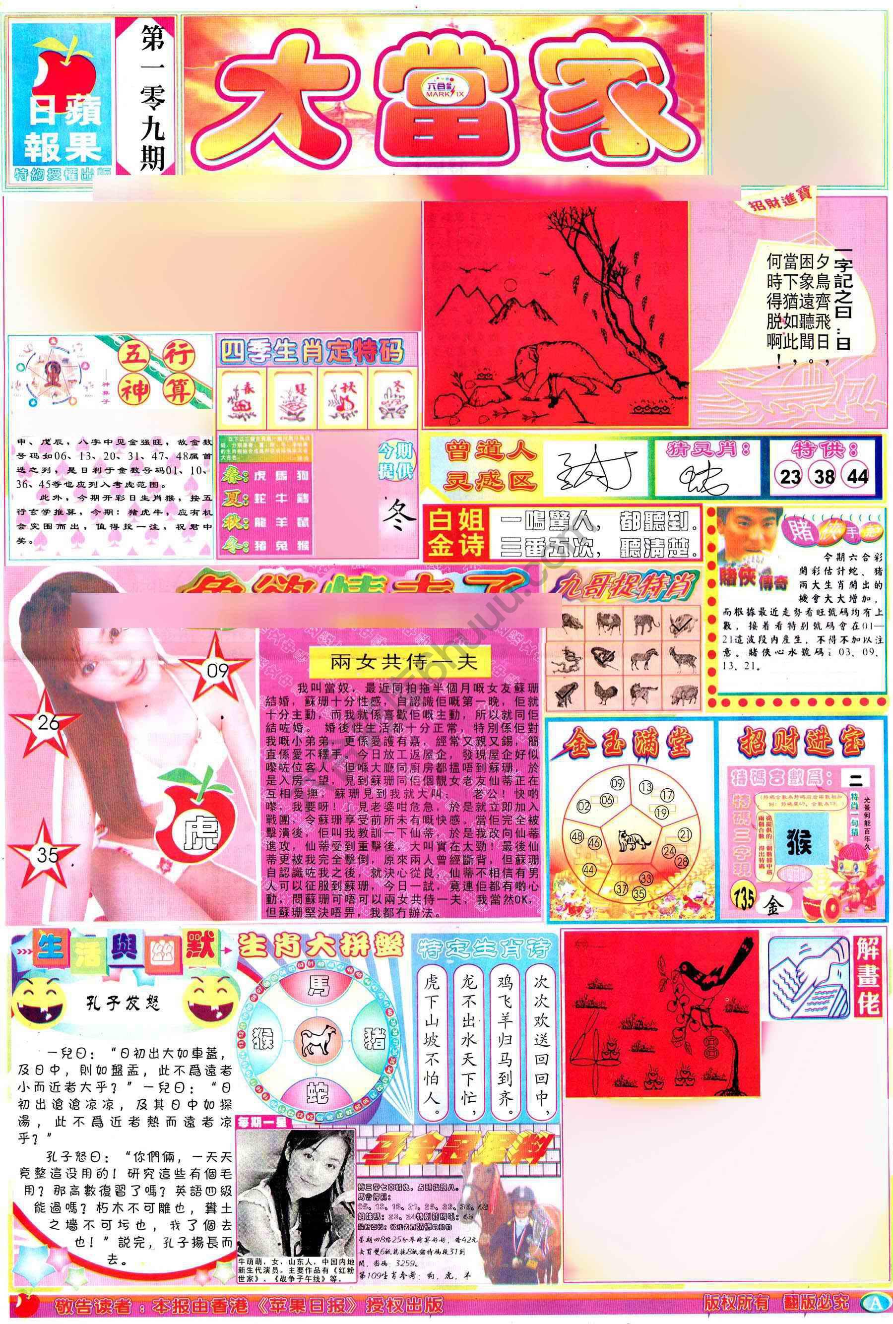 大当家
