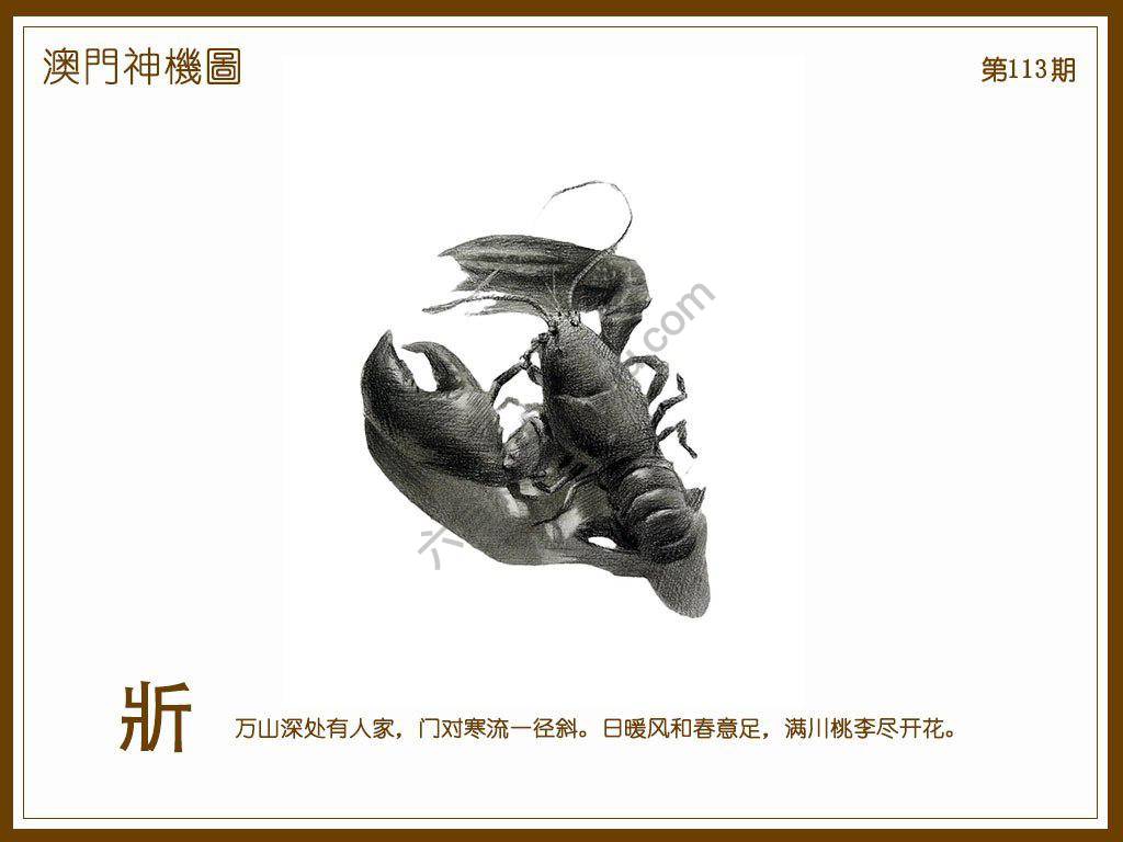 澳门神机图