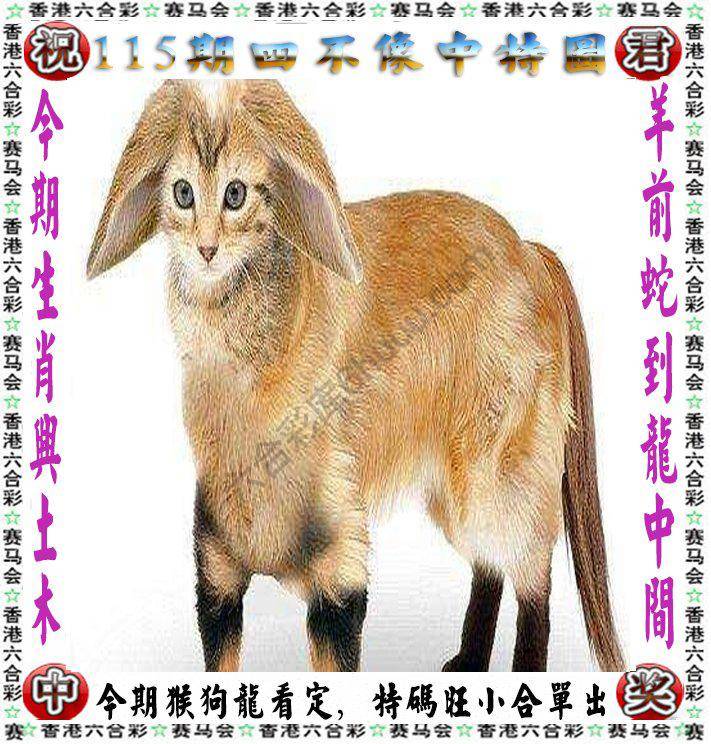 四不像中特图