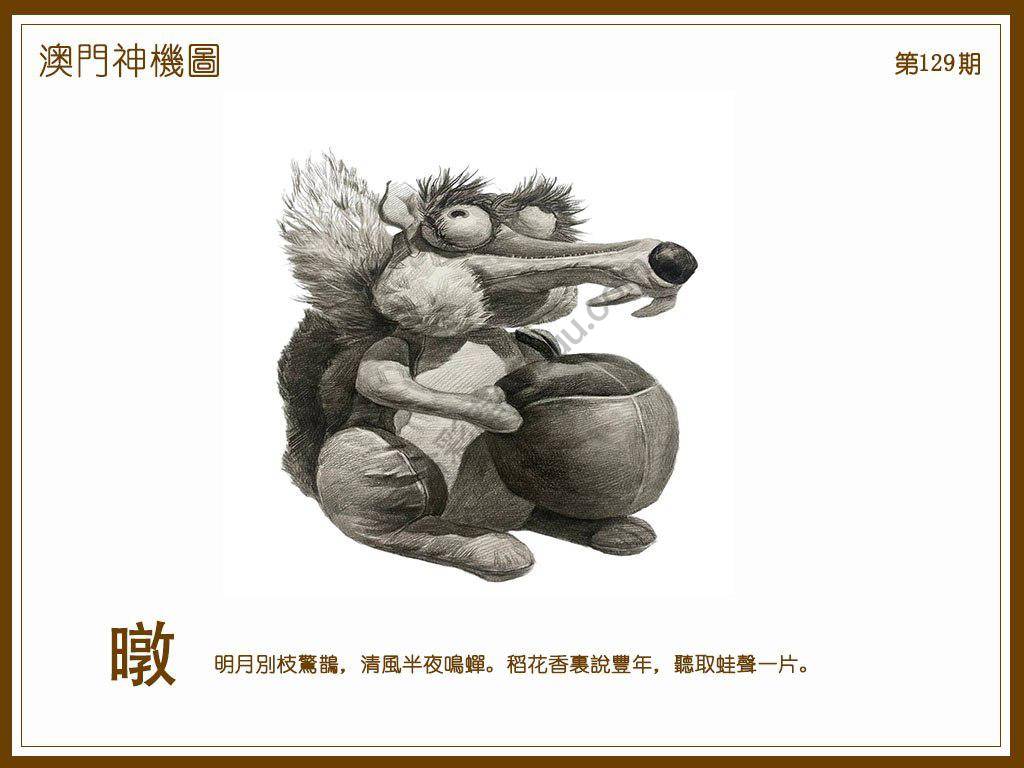 澳门神机图