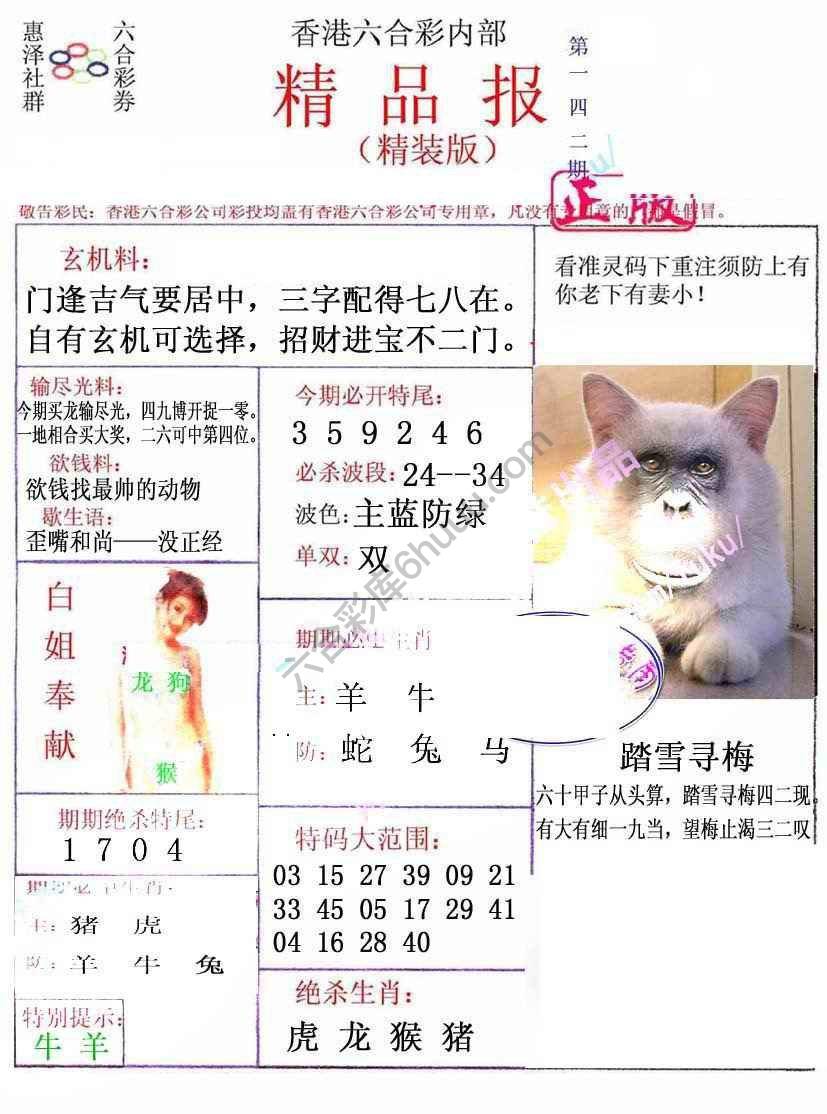 新精品报