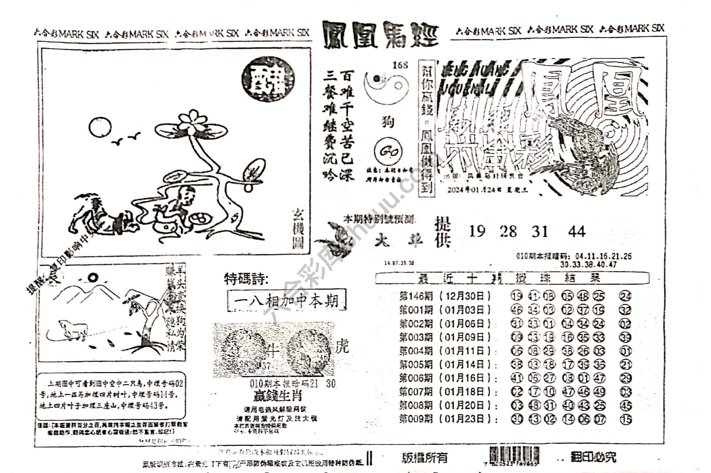 凤凰马经