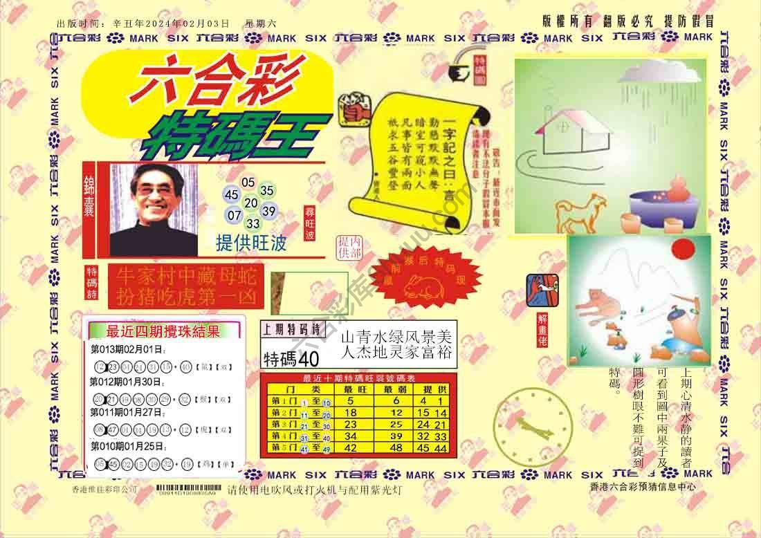 特码王