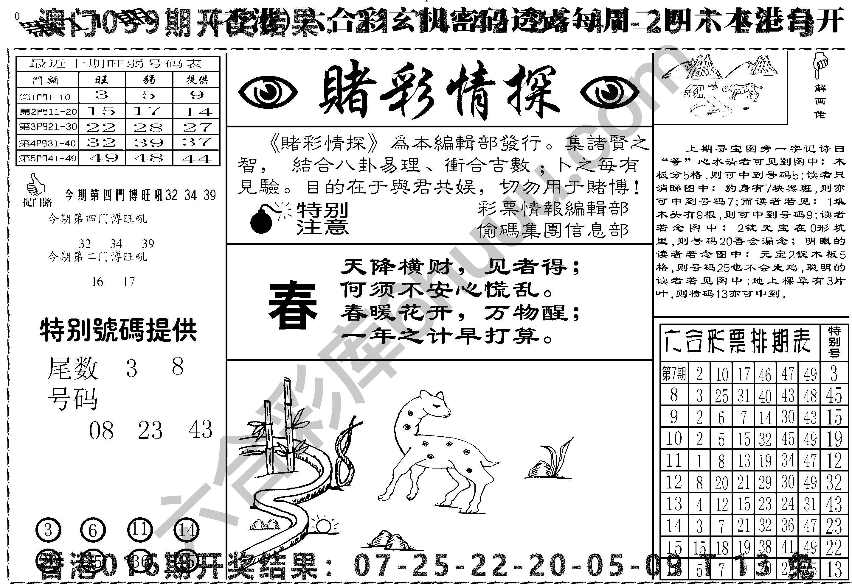 赌彩情探