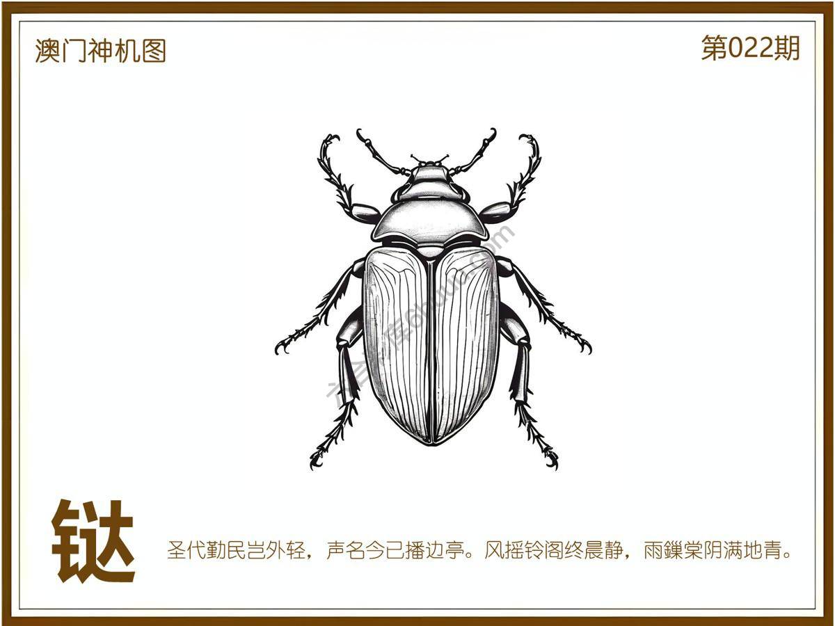 澳门神机图