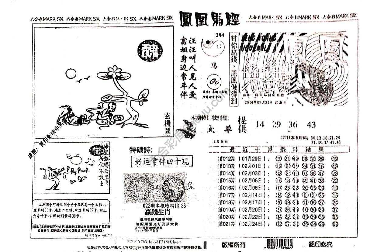 凤凰马经