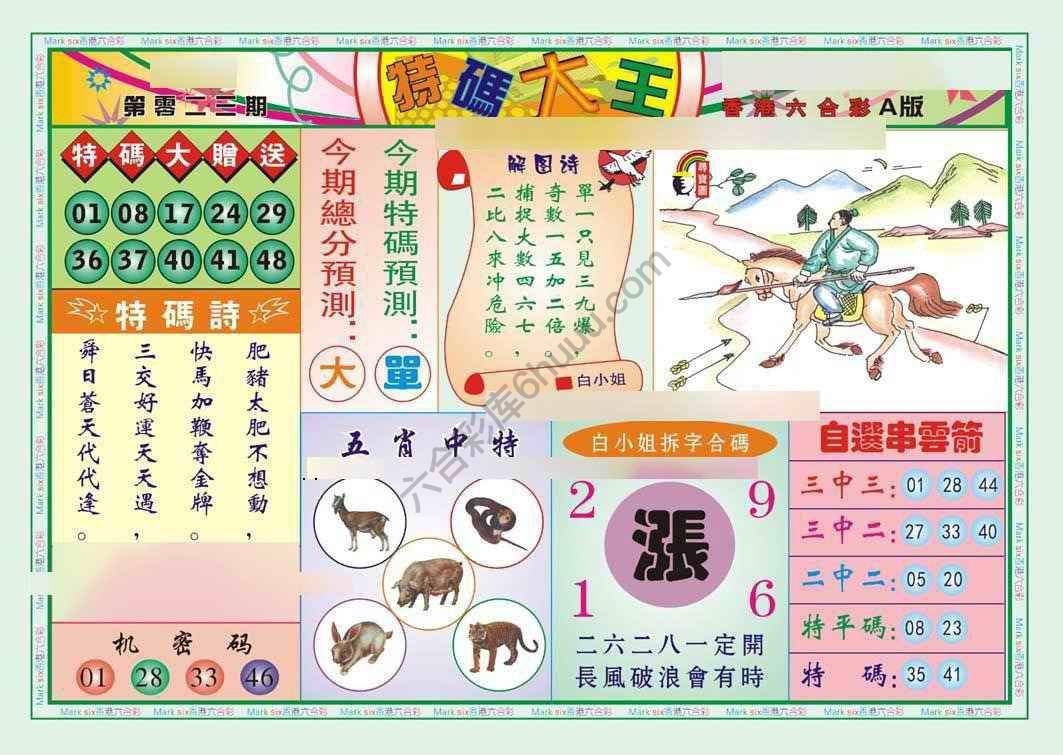 特码大王