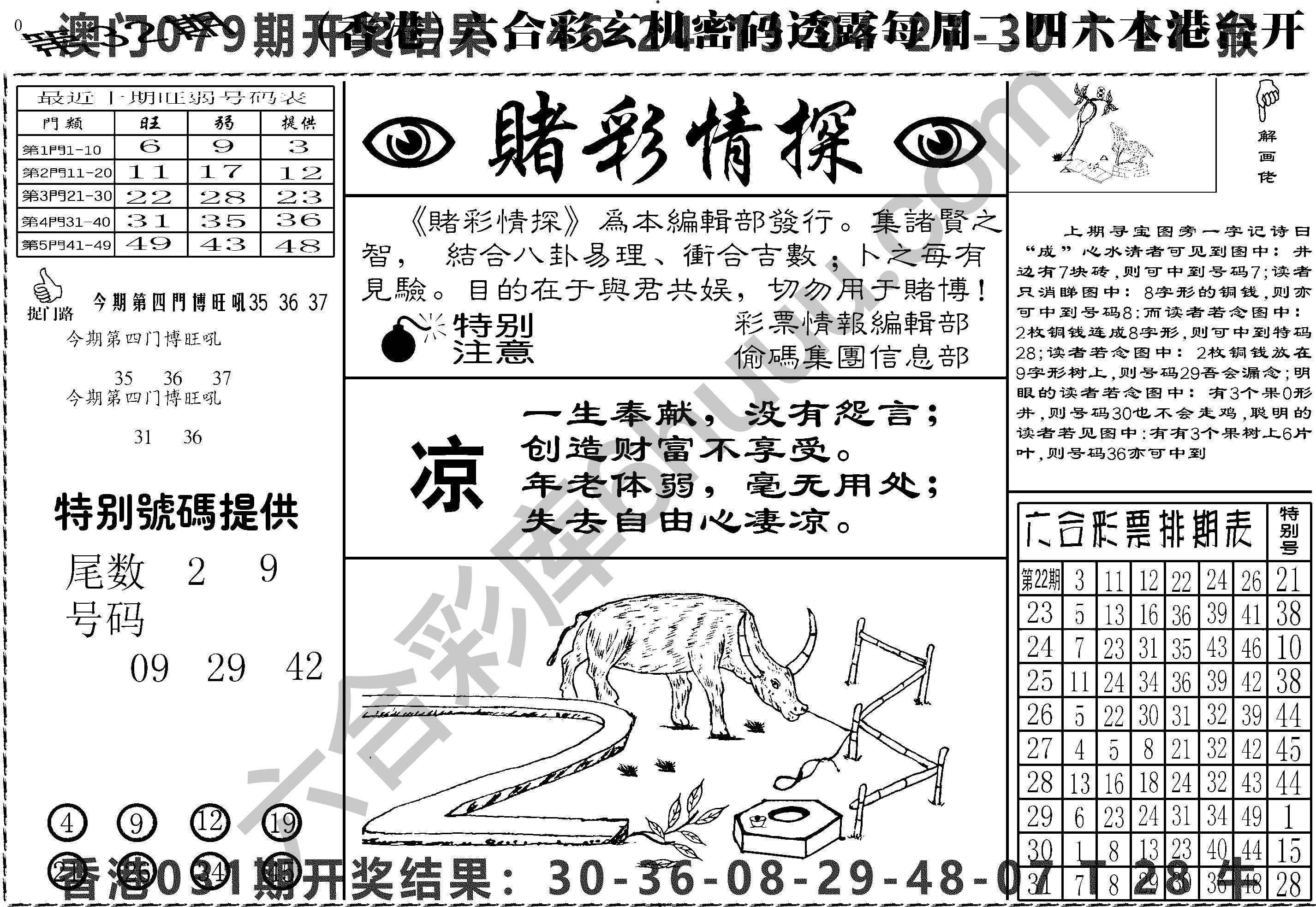 赌彩情探